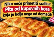 Sočna pita sa sirom od gotovih kora – jednostavan recept za mekanu i ukusnu domaću pitu
