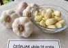 Beli luk i med: jednostavan domaći recept i način pripreme