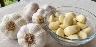 Beli luk i med: jednostavan domaći recept i način pripreme