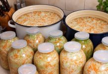 Domaći kiseli kupus s mrkvom: Jednostavan recept za ukusnu zimnicu koja će vas oduševiti