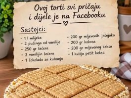 Kremasta torta bez pečenja s tri fila: Čokolada, lješnjaci i kokos u savršenom spoju