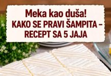 Šampita sa 5 jaja – provjeren recept za savršeno mekanu koru i bogatu, pjenastu kremu